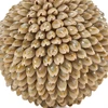 Bazaar Dekoratyvinis kamuolys Oluolu Shell Ball 13x13x13 cm baltas, kriauklė