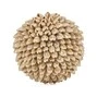 Bazaar Dekoratyvinis rutulys, Oluolu Shell Ball, 11x11x11 cm, balta, kriauklė
