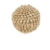 Bazaar Dekoratyvinis rutulys, Oluolu Shell Ball, 11x11x11 cm, balta, kriauklė
