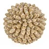 Bazaar Dekoratyvinis rutulys, Oluolu Shell Ball, 11x11x11 cm, balta, kriauklė