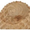 Bazaar Dubuo, Tekinio šaknies Durian medis, 0,2x0,2x0,1 m, Ruda