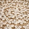 Bazaar Plokštė, Costa Shell, 0,42x0,42x0,06 m, Natūraliai baltos spalvos