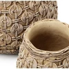 Bazaar Vazonas The Knot 23x23x20,2 cm Natūralus, Betonas