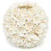 Bazaar Žvakidė Flower Power 12x12x12 cm balta kriauklė