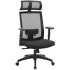 Songmics Ergonomiška kompiuterio kėdė