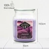 Candle Brothers Kvapnioji žvakė 15x10 cm violetinė
