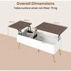Promotions Kavos staliukas, 111x48x40 cm, Rudas