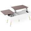 Promotions Kavos staliukas, 111x48x40 cm, Rudas