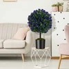 Promotions Dirbtinės dekoratyvinės formos medeliai, 55 cm, žalia ir violetinė