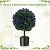 Promotions Dirbtinės dekoratyvinės formos medeliai, 55 cm, žalia ir violetinė