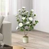 Promotions Dirbtinė kamelijų medelis, 91,4 cm, balta