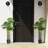 Promotions Dirbtinis medis, Monstera palma, 120,7 cm, žalia