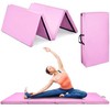 Promotions Gimnastikos kilimėlis, 240x116x5 cm, Rožinis