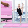 Promotions Gimnastikos kilimėlis, 240x116x5 cm, Rožinis