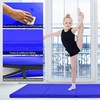 Promotions Gimnastikos kilimėlis, 240x120x5 cm, Mėlynas