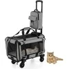 Promotions Riedantis katės transporteris, 58.4x36.8x63.5-101.6 cm, Pilkas