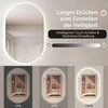 Promotions LED sieninis veidrodis, 80x50 cm, ovalus, sidabrinis