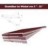 Promotions Ištraukiamas markizės tentas, 300x250 cm, Burgundijos spalva