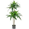 Promotions Dirbtinė dracena, 140 cm, žalia
