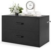 Promotions Laikymo organizatorius, 2 stalčių, dėvimasis, 60x34x38 cm, rudas