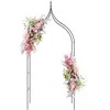 Promotions Sodo Arka, Dekoratyvinis Metalas, 124.9x39.6x289.6 cm, Juoda