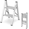 Promotions Sulankstoma kopėčia, aliuminis, 62,2x44,5x109,2 cm, sidabrinė