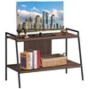 Promotions TV stovas, 89x43.2x59.7 cm, riešutas