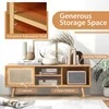 Promotions TV stovas, 120.7x30.5x45.7 cm, natūralus