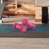 Songmics Hanteliai 2 x 0,5kg