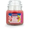 Haribo Duftkerze Island 3er Set
