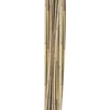 Home4You Bamboo Bambuko lazdos SODE H150cm 10vnt/komplektas D10/12mm
