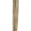 Home4You Bamboo Bambuko lazdos SODE H150cm 10vnt/komplektas D10/12mm