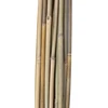 Home4You Bamboo Bambuko lazdos SODE H120cm 20vnt/komplektas D8/10mm