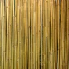 Home4You Pinta bambuko tvora IN GARDEN, 1x3m, natūralus bambukas D14/16mm - viela viduje