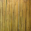 Home4You Pinta bambuko tvora IN GARDEN, 1x3m