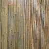 Home4You Bambukinė tvora IN GARDEN, 2x5m, natūralus bambukas D8/10mm