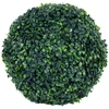 Home4You Kamuolys BUXUS GREENLAND, D27cm, žalias
