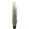 Home4You Dirbtinis augalas GREENLANDA H120cm vazone