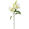 Home4You Dirbtinė gėlė GARDEN H75cm, balta lelija