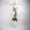 Home4You Dirbtinė orchidėja 132 cm balta