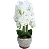 Home4You Orchidėja SODE H72cm pilkas vazonas