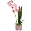 Home4You Orchidėja „GARDEN QUEEN“, aukštis 70 cm, šviesiai rožinė