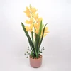 Home4You Orchidėja GARDEN QUEEN H70cm, geltona