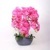 Home4You Dirbtinė orchidėja, kompozicija, 64 cm, tamsiai rožinė