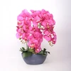 Home4You Dirbtinė orchidėja, kompozicija, 64 cm, tamsiai rožinė