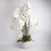 Home4You Dirbtinė orchidėjų kompozicija 102 cm balta