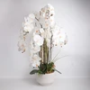 Home4You Dirbtinė orchidėjų kompozicija 102 cm balta