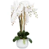 Home4You Orchidėja GARDEN QUEEN A68cm, balta
