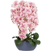 Home4You Rožinė Orchidėja GARDEN QUEEN A64cm, šviesiai rožinė