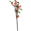 Home4You Dirbtinė šakelė GREENLAND H50cm su persikais